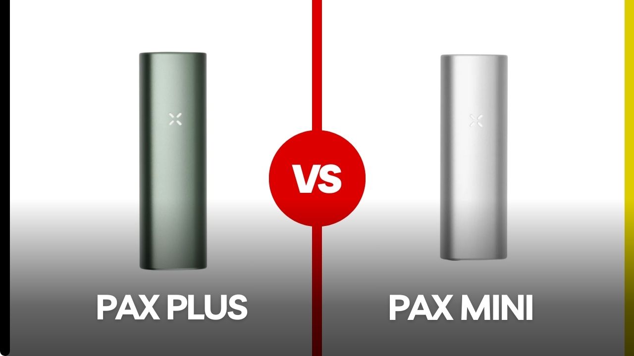 pax plus vs pax mini